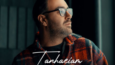 اهنگ تنهاییام زیاد شده مهدی جهانی